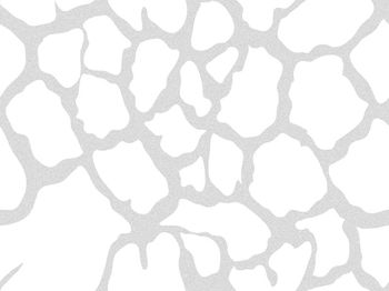 烫金印花华亿平台图片