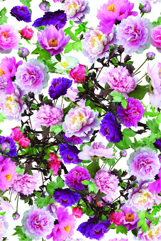 花卉印花华亿平台图片