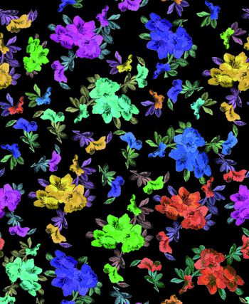 429598-彩色花卉