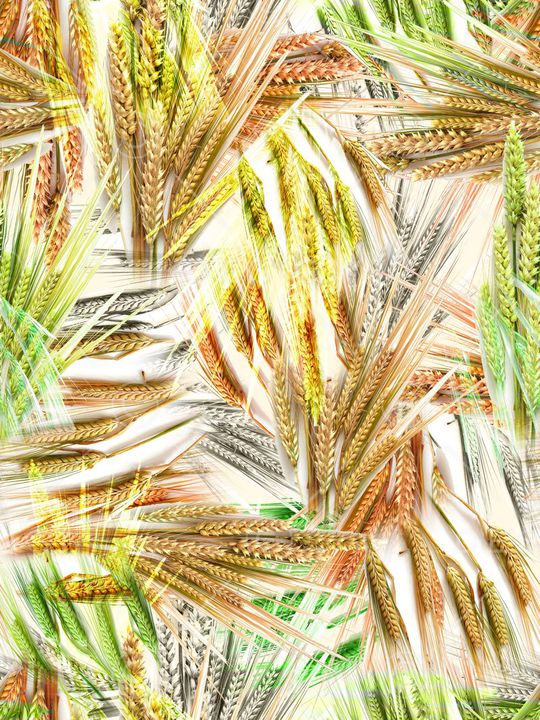 麦穗印花华亿平台图片