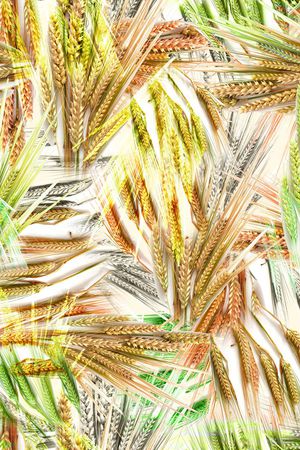 麦穗印花华亿平台图片