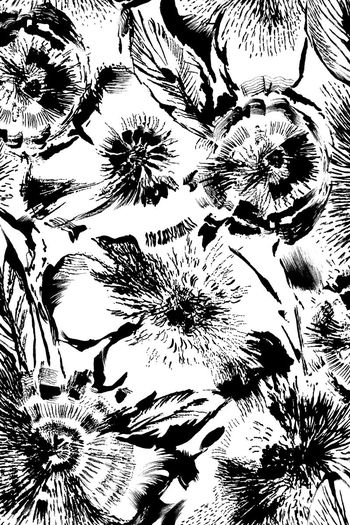 欧美印花华亿平台图片