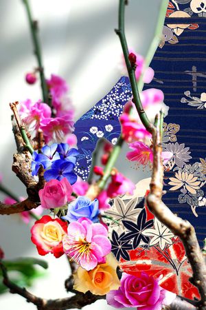 艺术照印花华亿平台图片