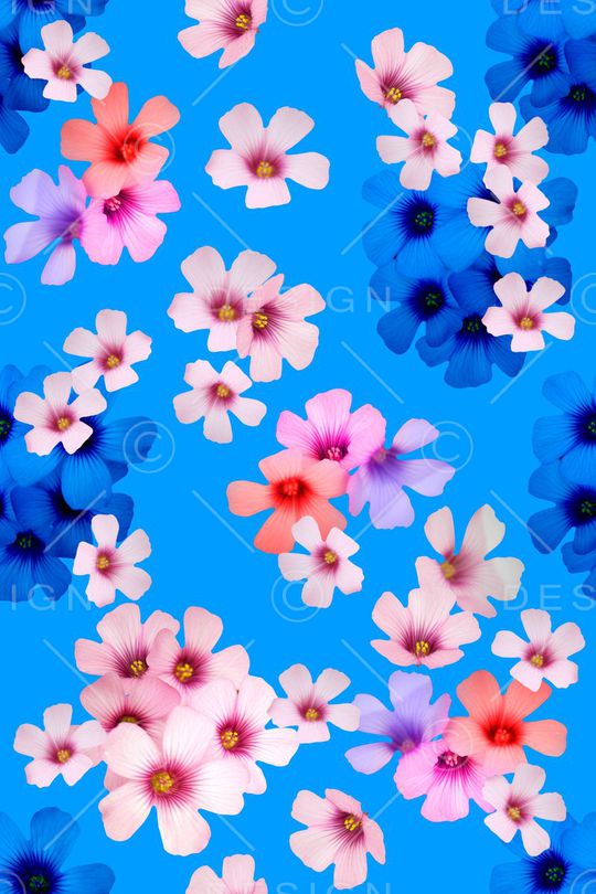 中国风印花华亿平台图片