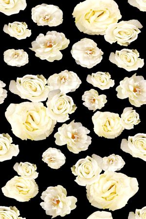 强烈对比印花华亿平台图片