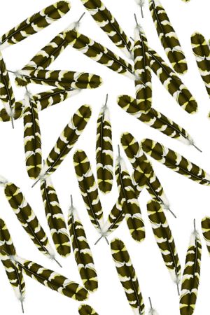 豹纹印花华亿平台图片