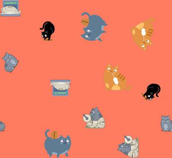 429843-调皮的小猫童装华亿平台