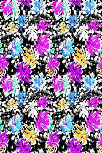 429855-雨林红掌花