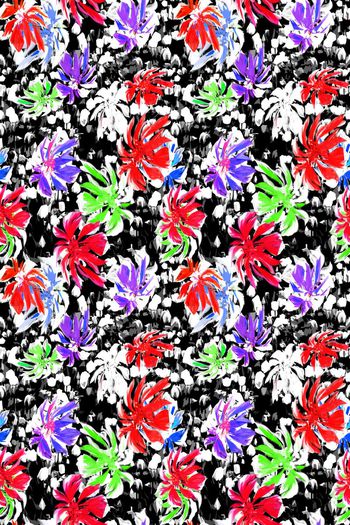 429856-雨林红掌花