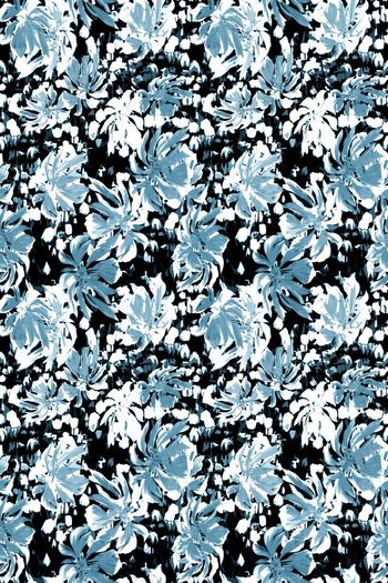 429857-雨林红掌花