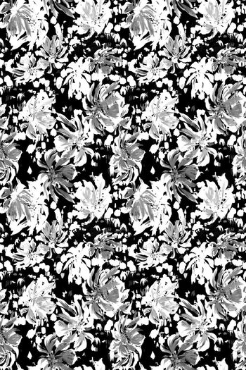 429858-雨林红掌花