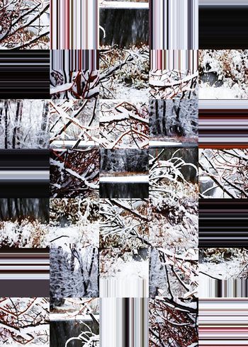 429896-冰雪霜冻秋冬日外套树枝雪枝条纹格子