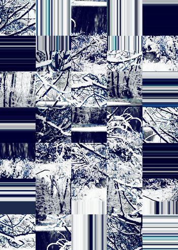 429897-冰雪霜冻冬日树枝雪枝条纹格子男装印