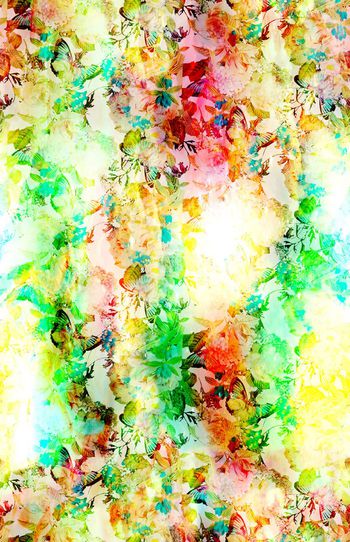 429997-抽象蝴蝶花卉花纹彩色炫彩晕色