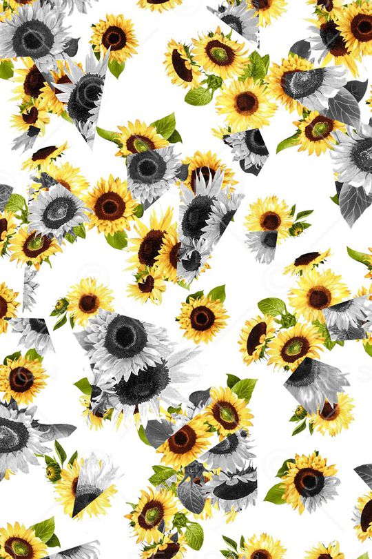 清新向日葵印花华亿平台图片