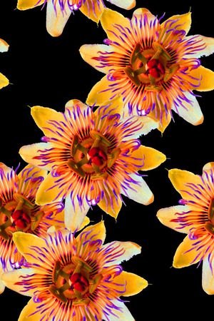 简单印花华亿平台图片