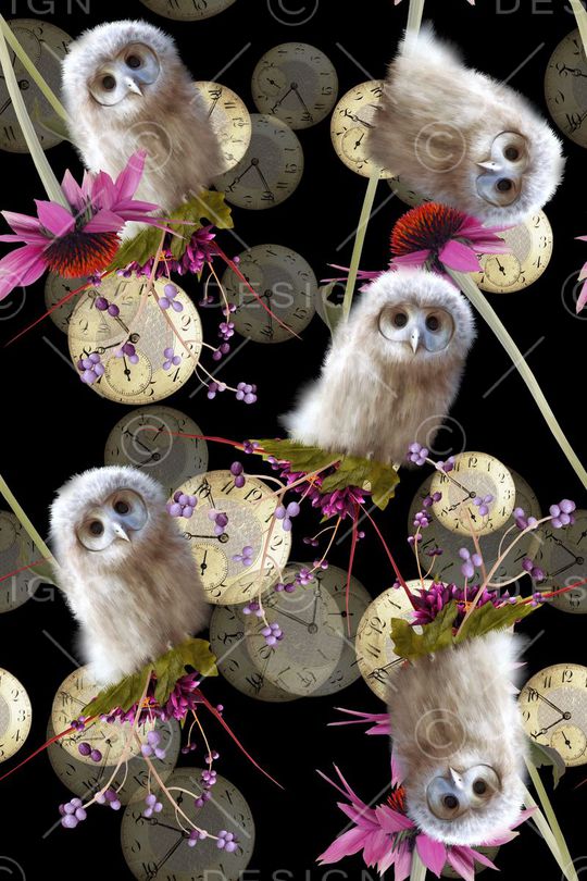 猫头鹰印花华亿平台图片