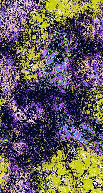 430077-抽象撞色色块 前卫 概念 多套色创