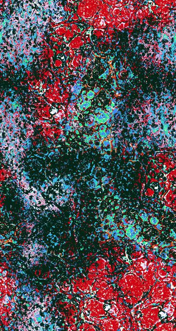 430078-抽象撞色色块 前卫 概念 多套色创