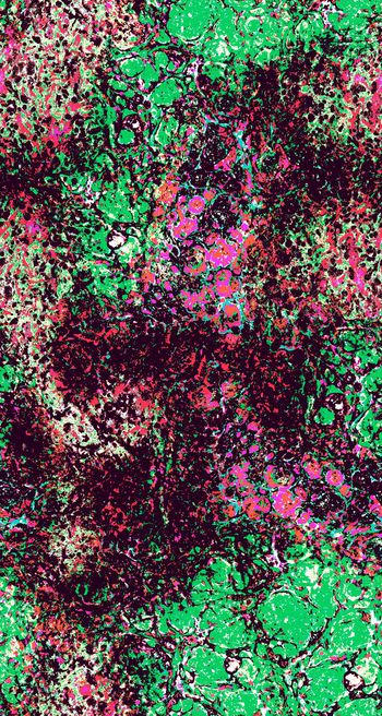 430079-抽象撞色色块 前卫 概念 多套色创