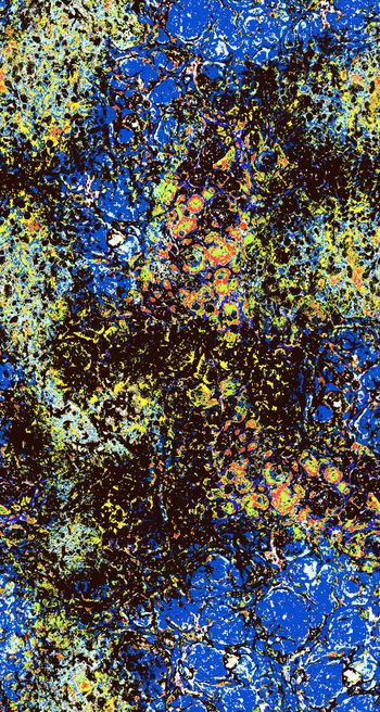 430081-抽象撞色色块 前卫 概念 多套色创