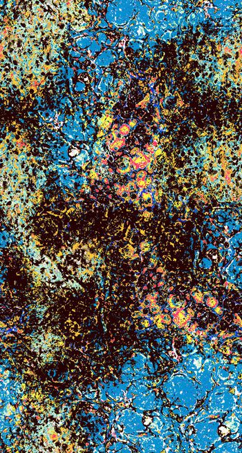 430082-抽象撞色色块 前卫 概念 多套色创