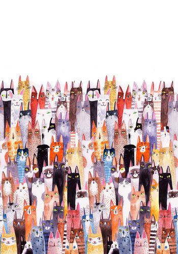 430285-猫星人单边定位华亿平台