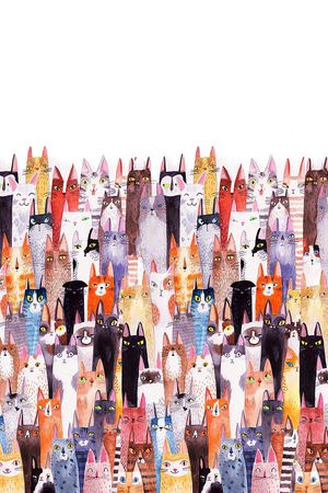 猫印花华亿平台图片