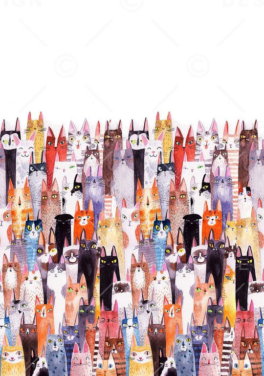 猫印花华亿平台图片