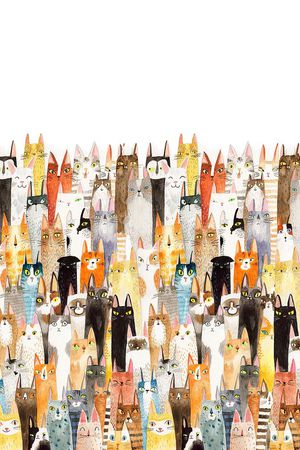 猫印花华亿平台图片