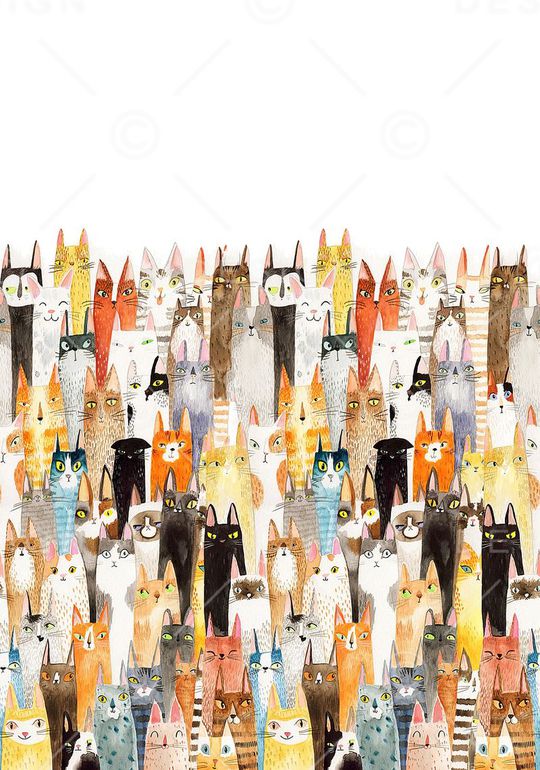 猫印花华亿平台图片