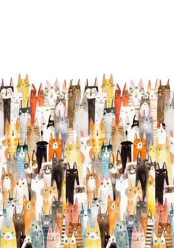 430289-猫星人单边定位华亿平台