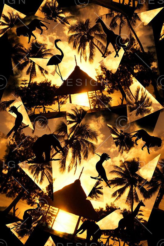 动物印花华亿平台图片