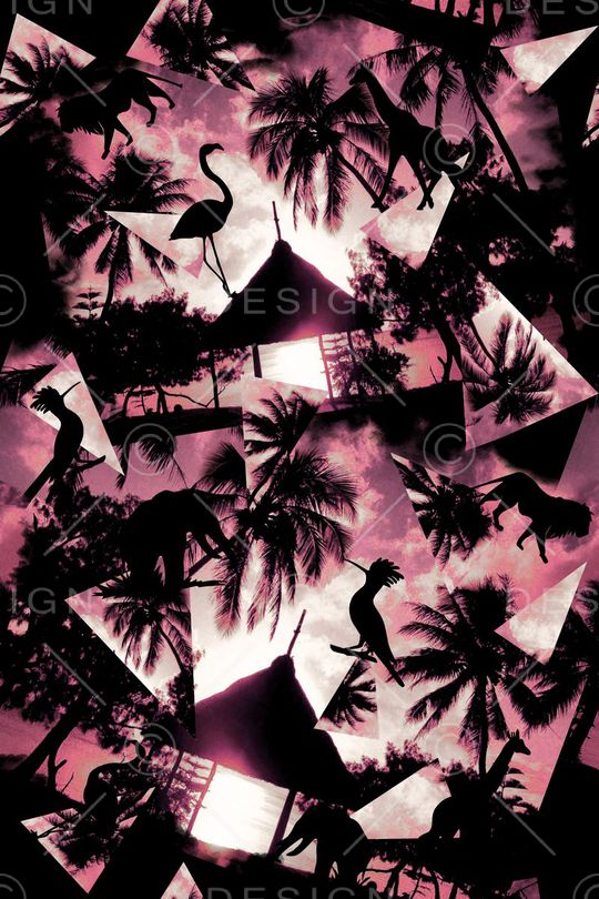 热带印花华亿平台图片