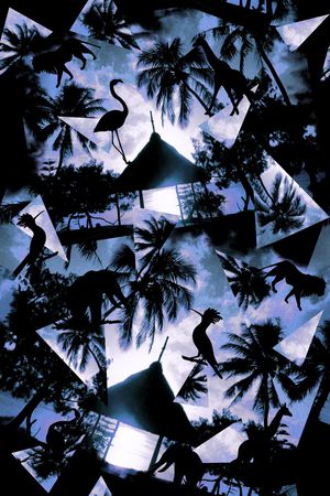 热带印花华亿平台图片