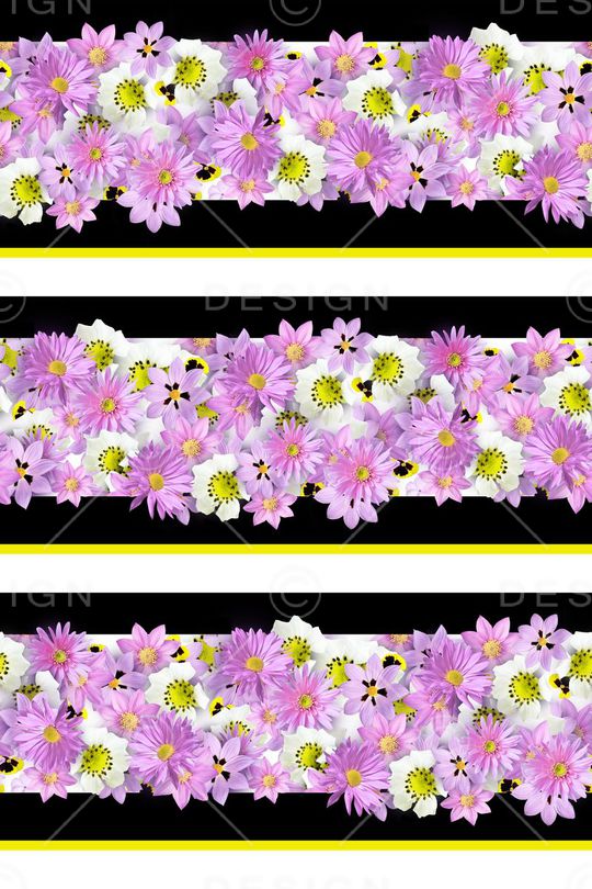 邹菊印花华亿平台图片