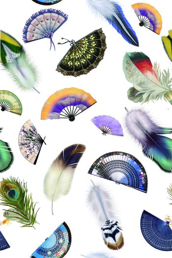 430442-彩色羽毛扇子组合