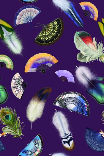 430443-彩色羽毛扇子组合