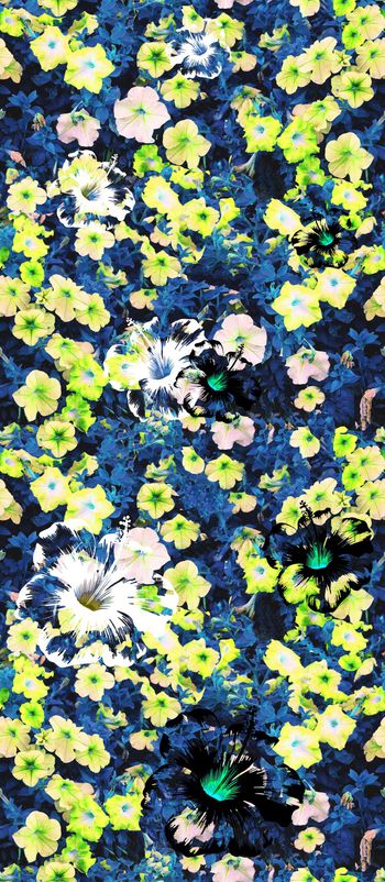 窗纱印花华亿平台图片