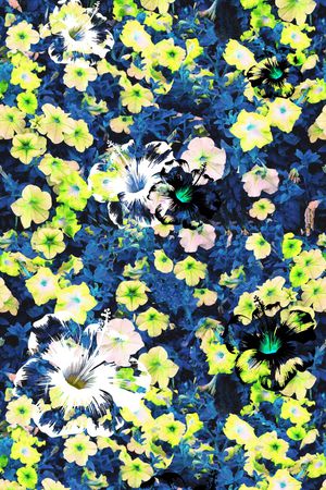 窗纱印花华亿平台图片