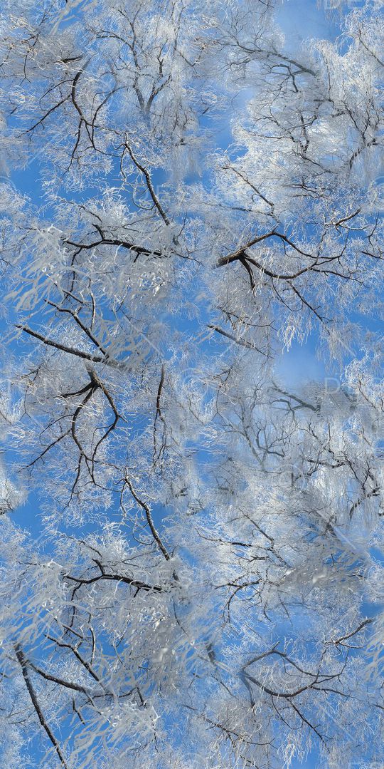 风景印花华亿平台图片