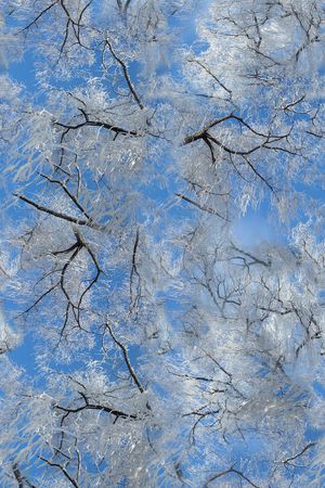 风景印花华亿平台图片