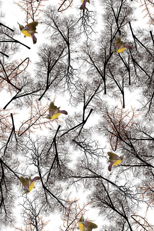 外套华亿平台印花华亿平台图片