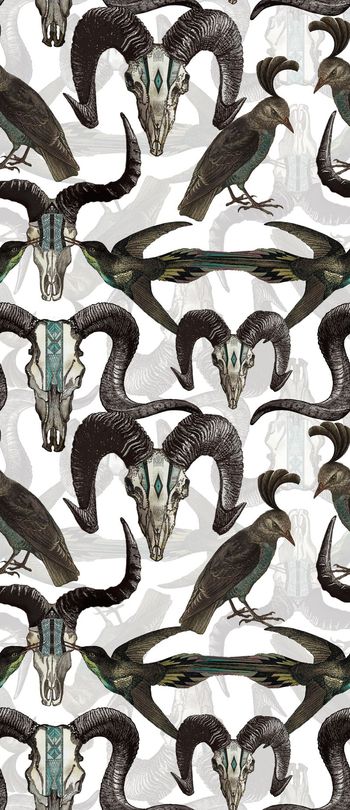 430675-个性男装远古动物羊头骨数码印花