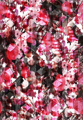 430847-瑕疵花卉系列之玫瑰太阳花条纹抽象春