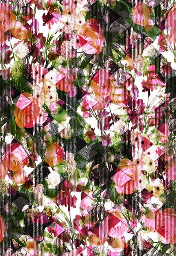 430849-瑕疵花卉系列之玫瑰太阳花条纹抽象春