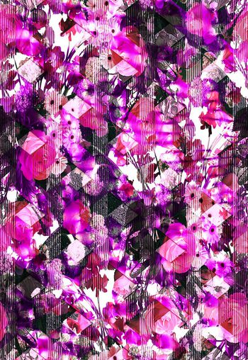 430850-瑕疵花卉系列之玫瑰太阳花条纹抽象春