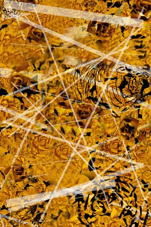 豹纹印花华亿平台图片