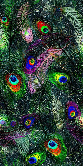 430891-孔雀羽 茂林 肌理 数码 服装