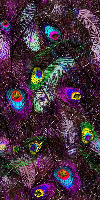 430893-孔雀羽 茂林 肌理 数码 服装